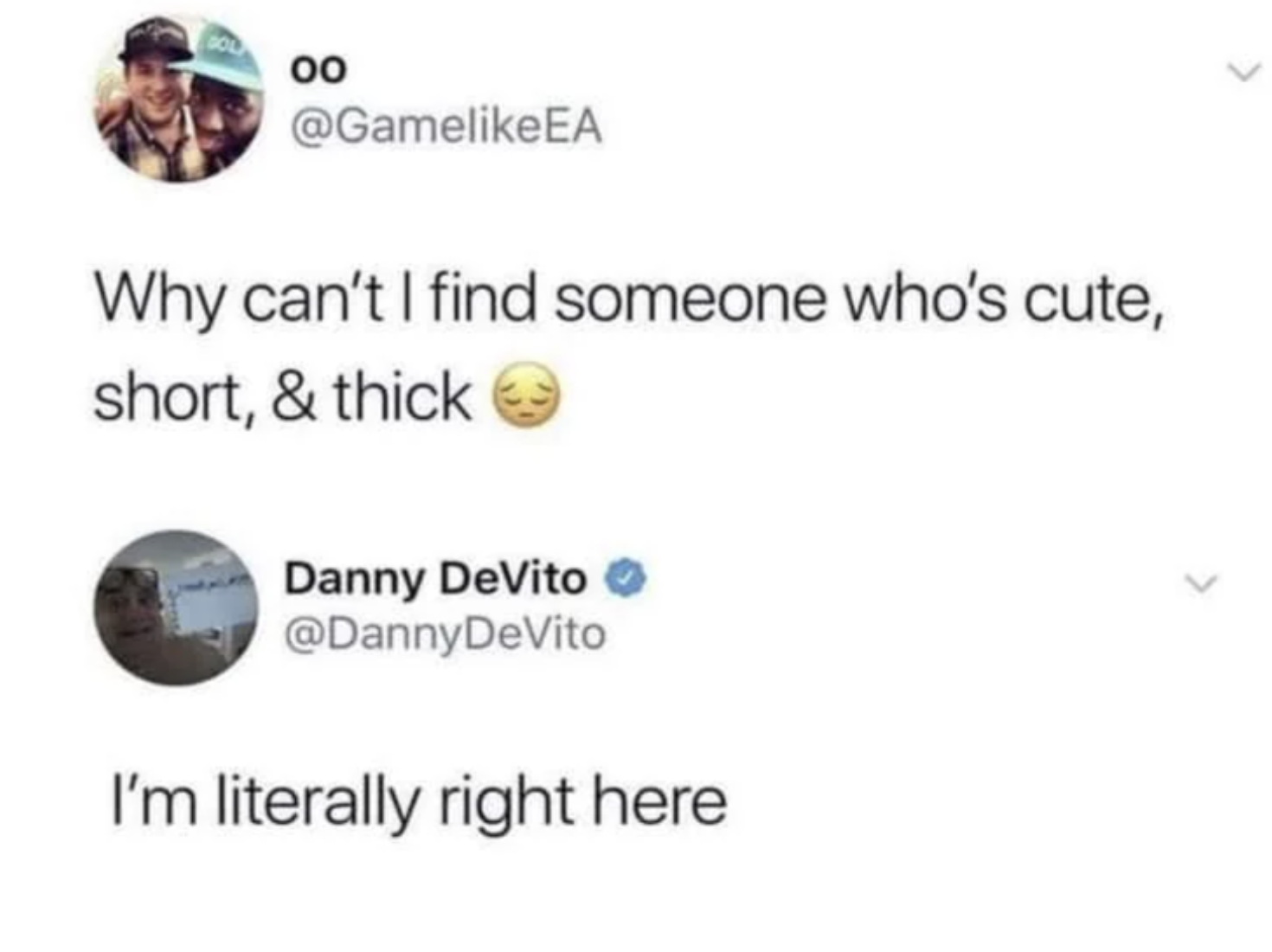 danny devito short meme - 00 Why can't I find someone who's cute, short, & thick Danny DeVito DeVito I'm literally right here >